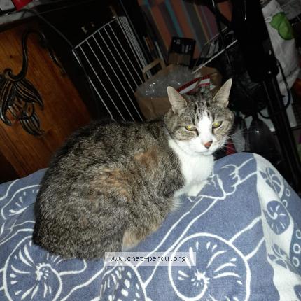 Nujaftnqdhvzqm Nujaftnqdhvzqm