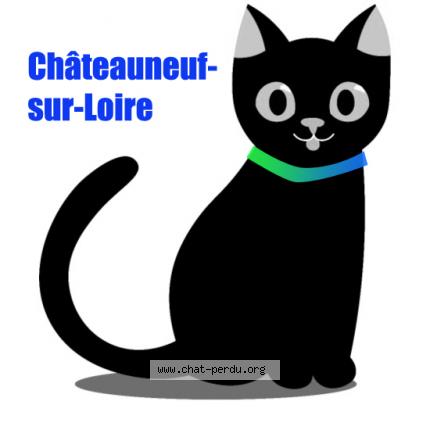 Photo 1/1 Chat retrouvé Trouvé à Chateauneuf Sur Loire