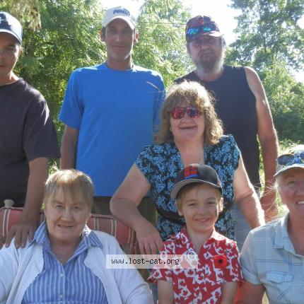 Photo 1/1 Chat retrouvé Perdu à Belleville