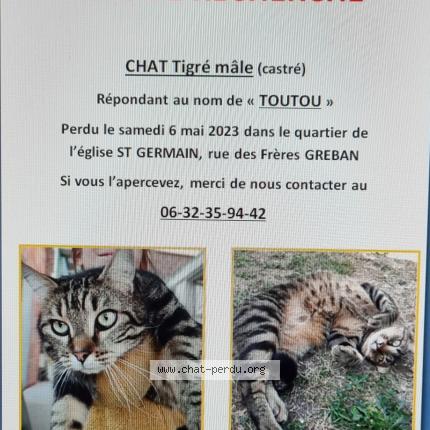 Photo 1/1 Chat retrouvé Perdu à Compiegne