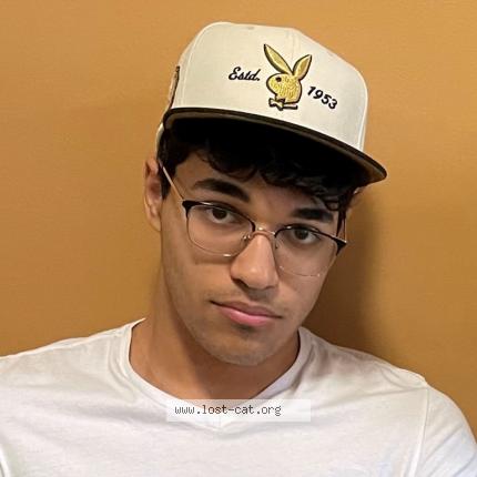 Photo 1/1 Chat retrouvé Perdu à Milton