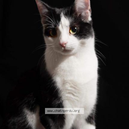 Mimi