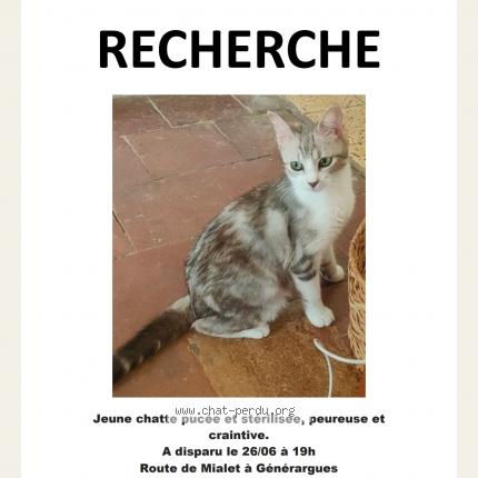 Photo de chat perdu à Generargues