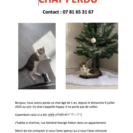 Photo 1/1 Chat retrouvé Perdu à Chartres