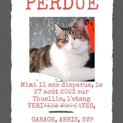 Photo 1/1 Chat retrouvé Perdu à Les avenieres veyrins thuellin