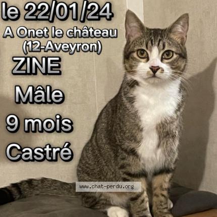 Photo 2/2 Chat retrouvé Perdu à Onet Le Chateau