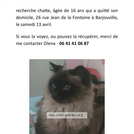 Photo de chat perdu à Barjouville