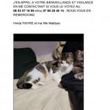 Photo de chat perdu à Valay