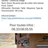 Photo de chat perdu à Cormoranche Sur Saone