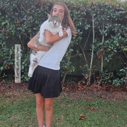 Photo 1/1 Tico Chat perdu à Randan