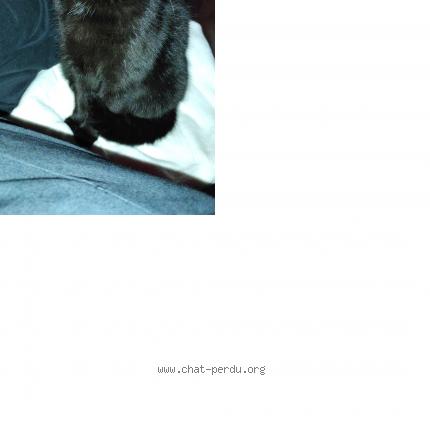 Photo 1/2 p'tite noire Chat perdu à Bruyeres le chatel