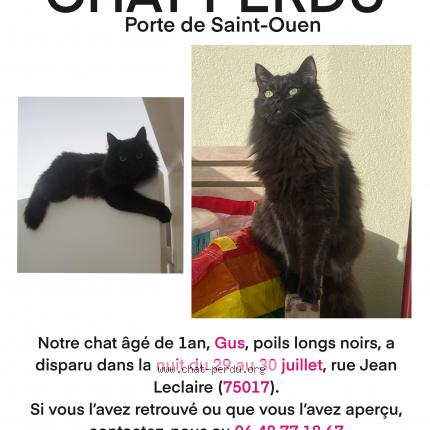 Photo de chat perdu à Paris