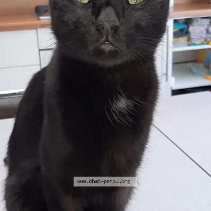 Salem