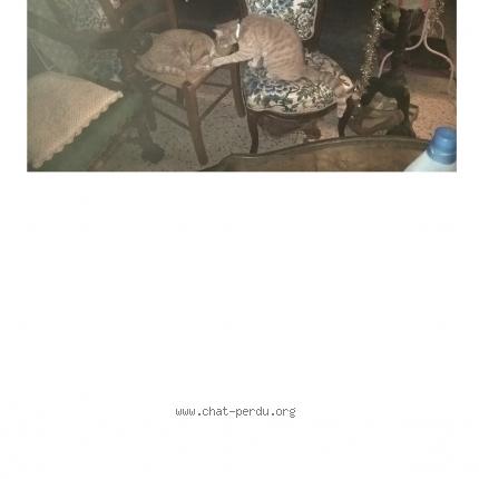 Photo 1/1 TIGROU Chat perdu à Saint fort sur gironde