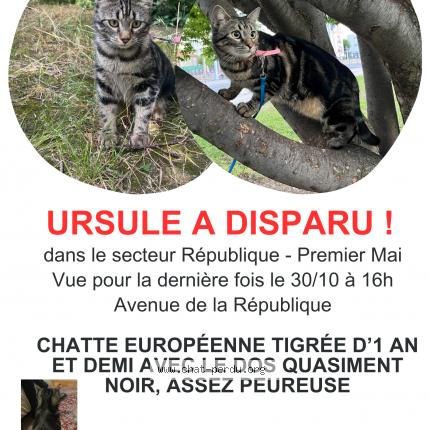 Photo 1/1 Chat retrouvé Perdu à Clermont Ferrand