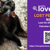 Photo de chat perdu à Fairview Oregon