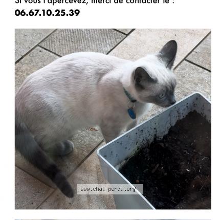 Photo 1/2 Chat retrouvé Perdu à Hayange