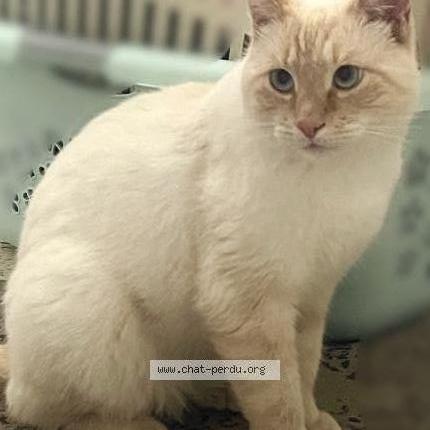 Milo
