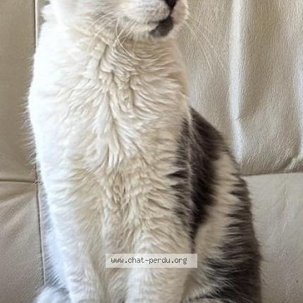 Photo 1/1 RV Chat perdu à Uchaux