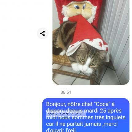 Photo 1/1 Coca Chat perdu à Chey