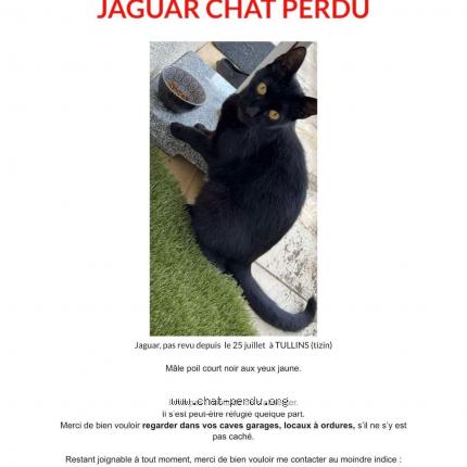 Photo 1/1 Jaguar Chat perdu à Tullins