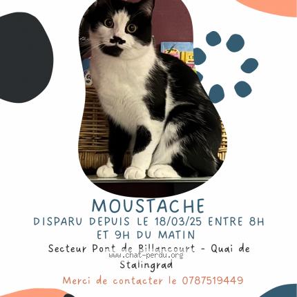 Photo de chat perdu à Boulogne Billancourt
