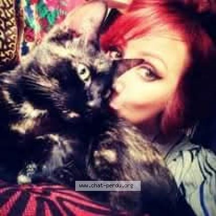 Photo 1/1 Bisou Chat perdu à Paris