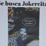 Photo de chat perdu à Comas