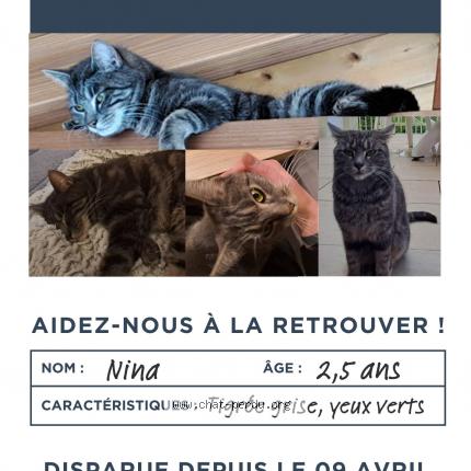 Photo de chat perdu à Sucy En Brie
