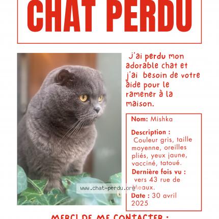 Amazon.fr - La première fois que j'ai perdu mon chat - Le