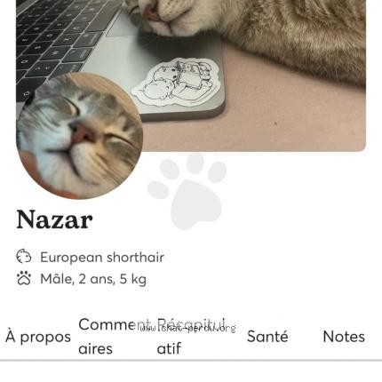 Photo de chat perdu à Paris