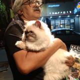 Photo de chat perdu à Bangalore