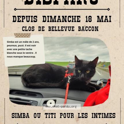 Photo de chat perdu à Baccon