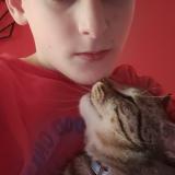 Photo de chat perdu à Vion