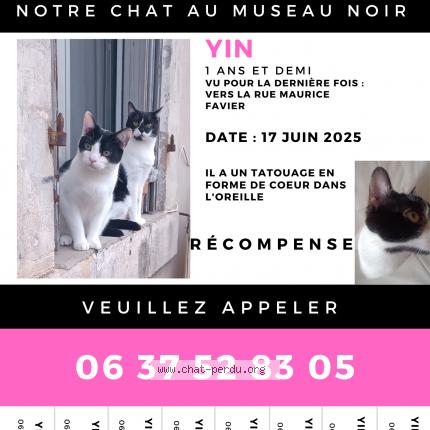 Photo 1/1 Chat retrouvé Perdu à Marseille 06