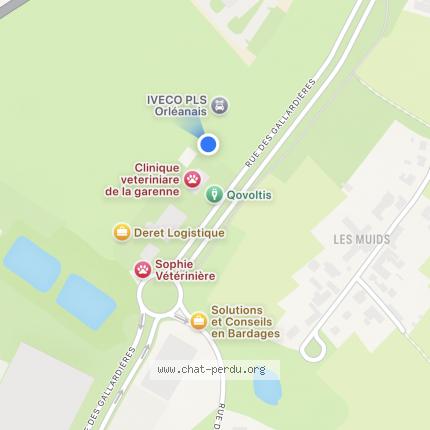 Photo 3/4 MICHKA Chat perdu à Ingre