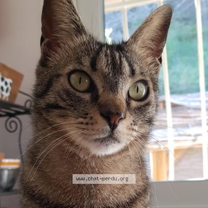 Lilou