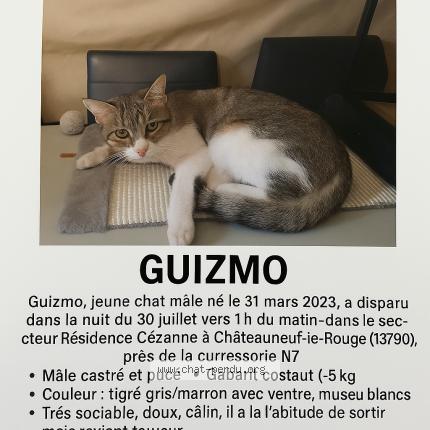 Photo 3/3 Chat retrouvé Perdu à Chateauneuf Le Rouge