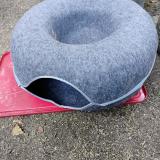 Photo de chat perdu à Seattle