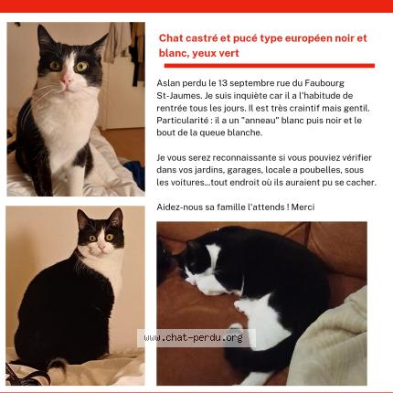 Photo 2/3 Aslan Chat perdu à Montpellier