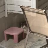 Photo de chat trouvé à Mason