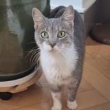 Mia