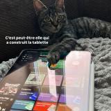 Photo de chat perdu à Sannois