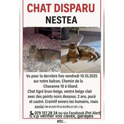 Photo 1/1 Nestea Chat perdu à Gland