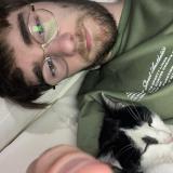 Photo de chat perdu à Blois