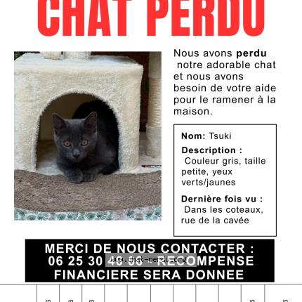 Photo 1/1 Chat retrouvé Perdu à Argenteuil