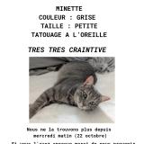 Photo de chat perdu à Marseille