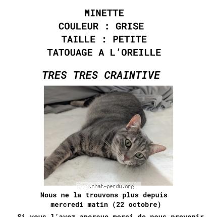 Photo 1/1 Chat retrouvé Perdu à Marseille
