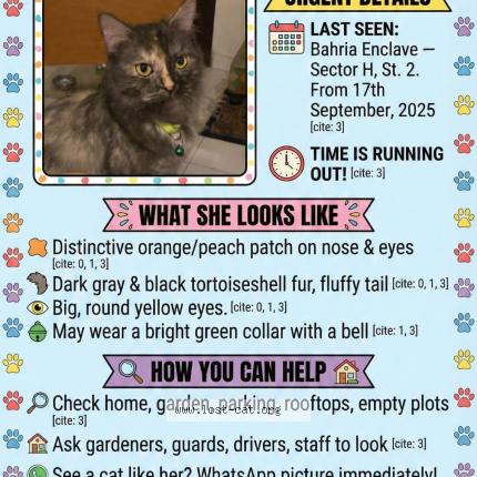 Photo 4/4 Gullu Chat perdu à Islamabad