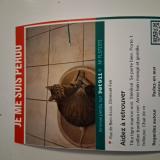 Photo de chat perdu à Clermont Ferrand